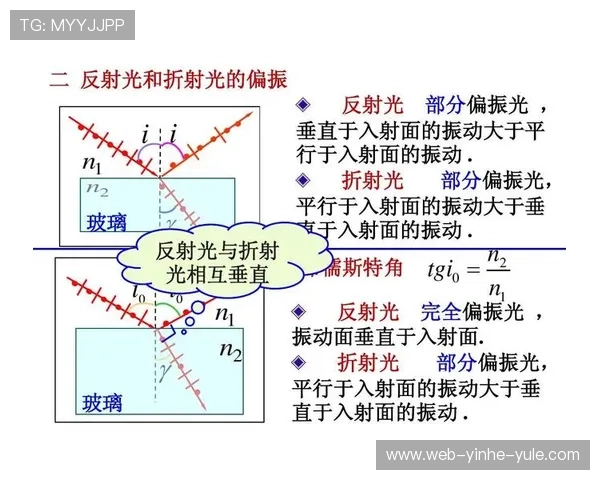 布儒斯特角与光的反射折射关系研究及其在光学领域的应用探讨